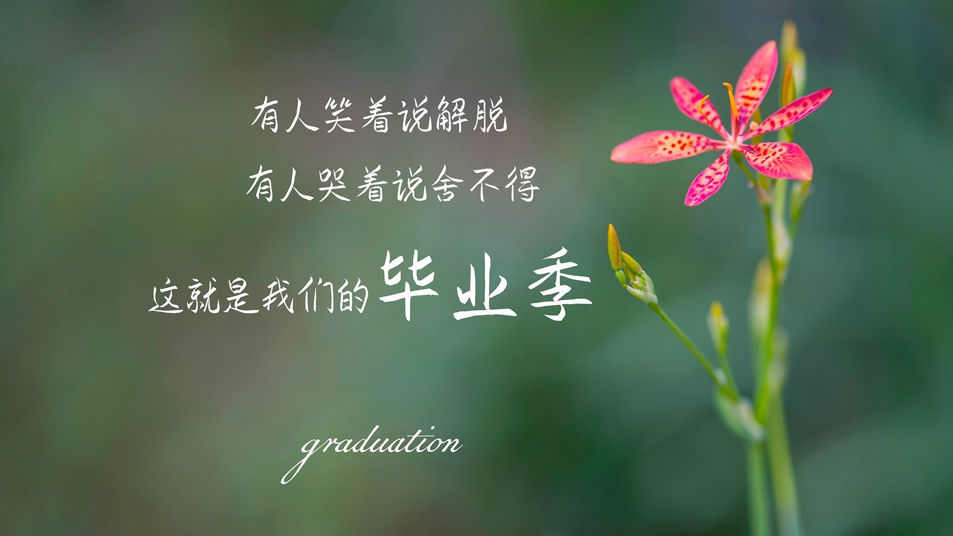 中国三人篮球男队适应国际比赛节奏，三人篮球赛中国队球员