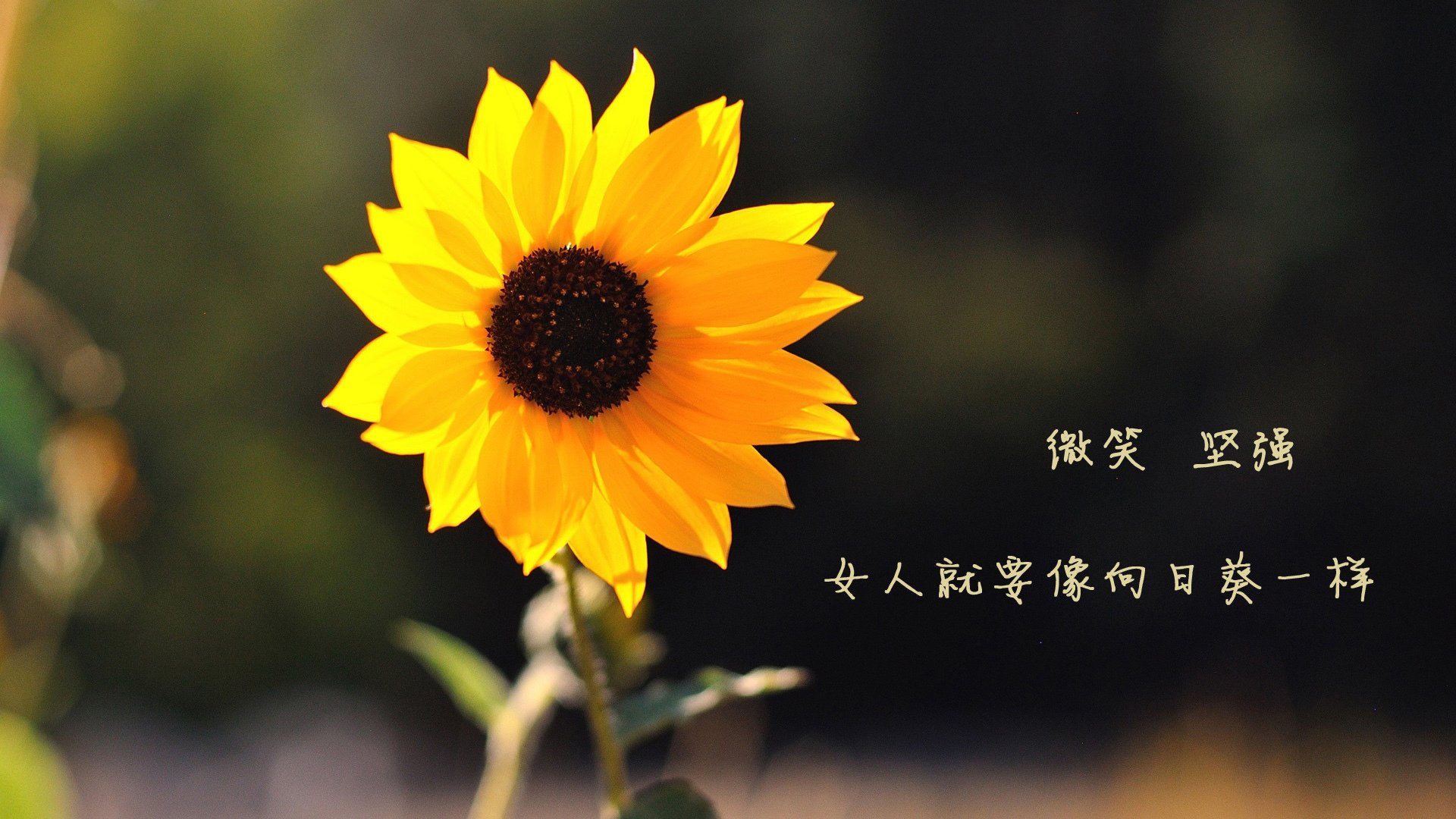 体育新闻中心深化体育赛事视频版权保护机制，体育赛事受著作权保护吗