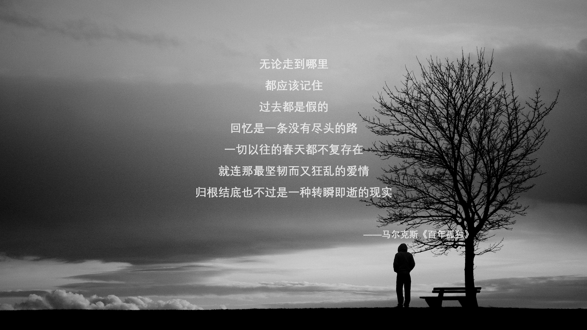 爱游戏官方-高水平蝶泳划频–配速关系图首次公开，蝶泳高手