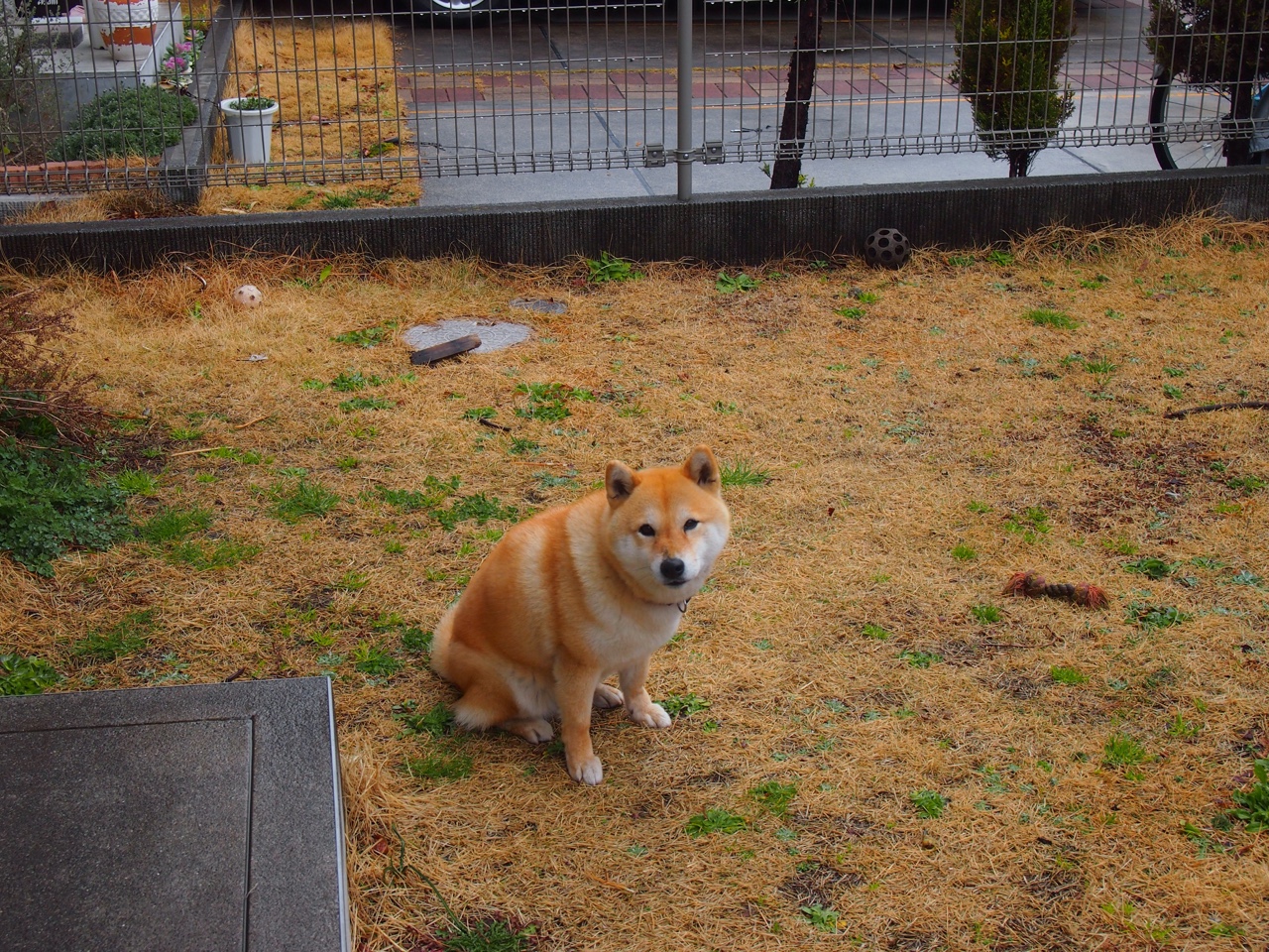 凯莉·麦基翁女子200米仰泳决赛精彩亮相,美国游泳麦基翁