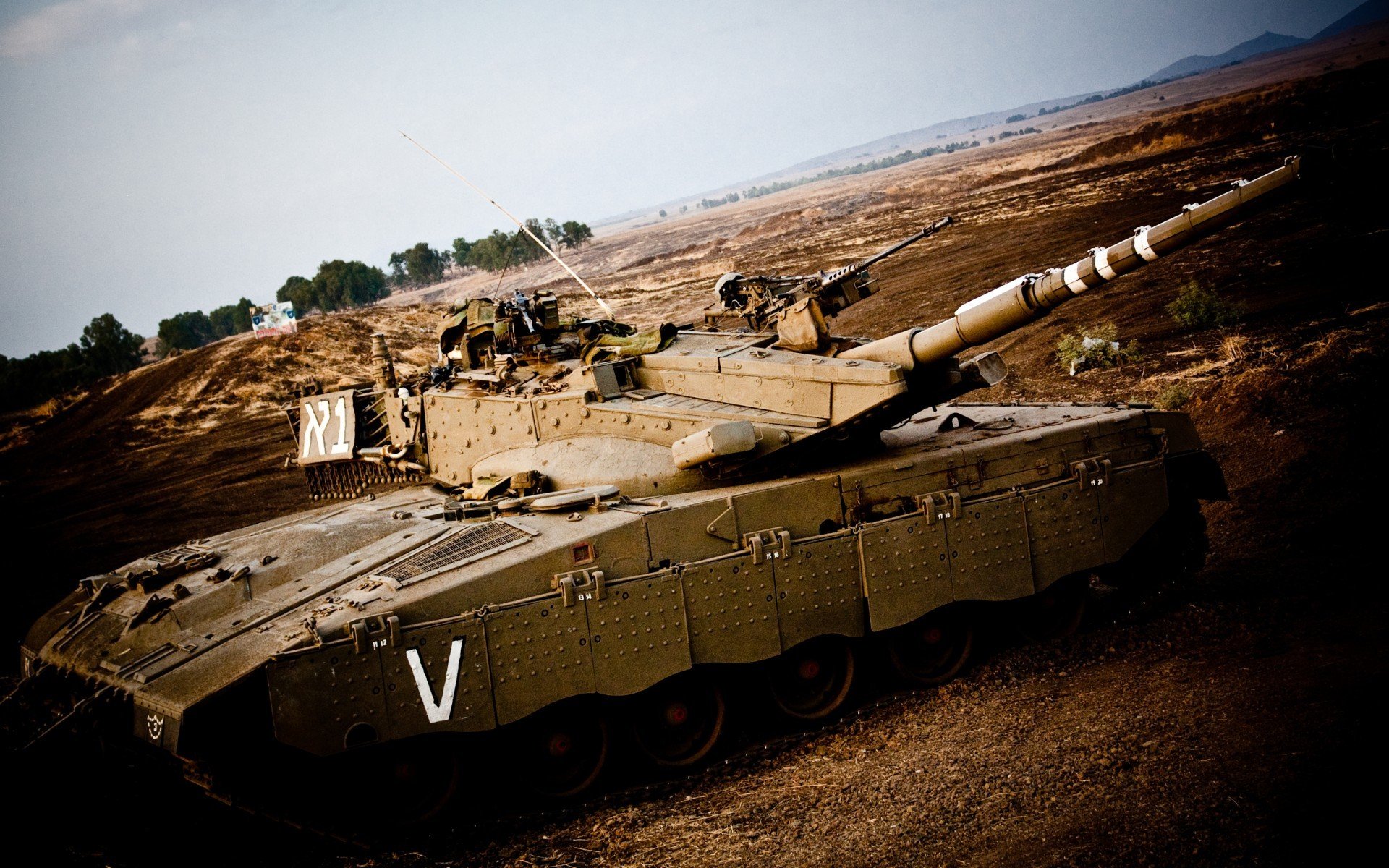 厄瓜多尔男篮在南美锦标赛中夺冠,彰显新兴篮球强国风采,厄瓜多尔u23篮球