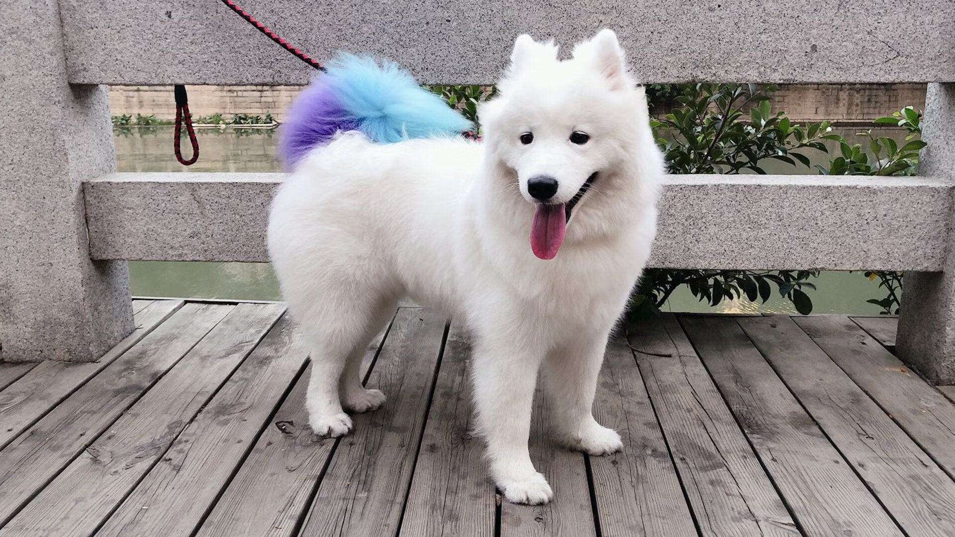 国家青少年训练营夏令营官方报名通道即将开放,2021全国青少年夏令营