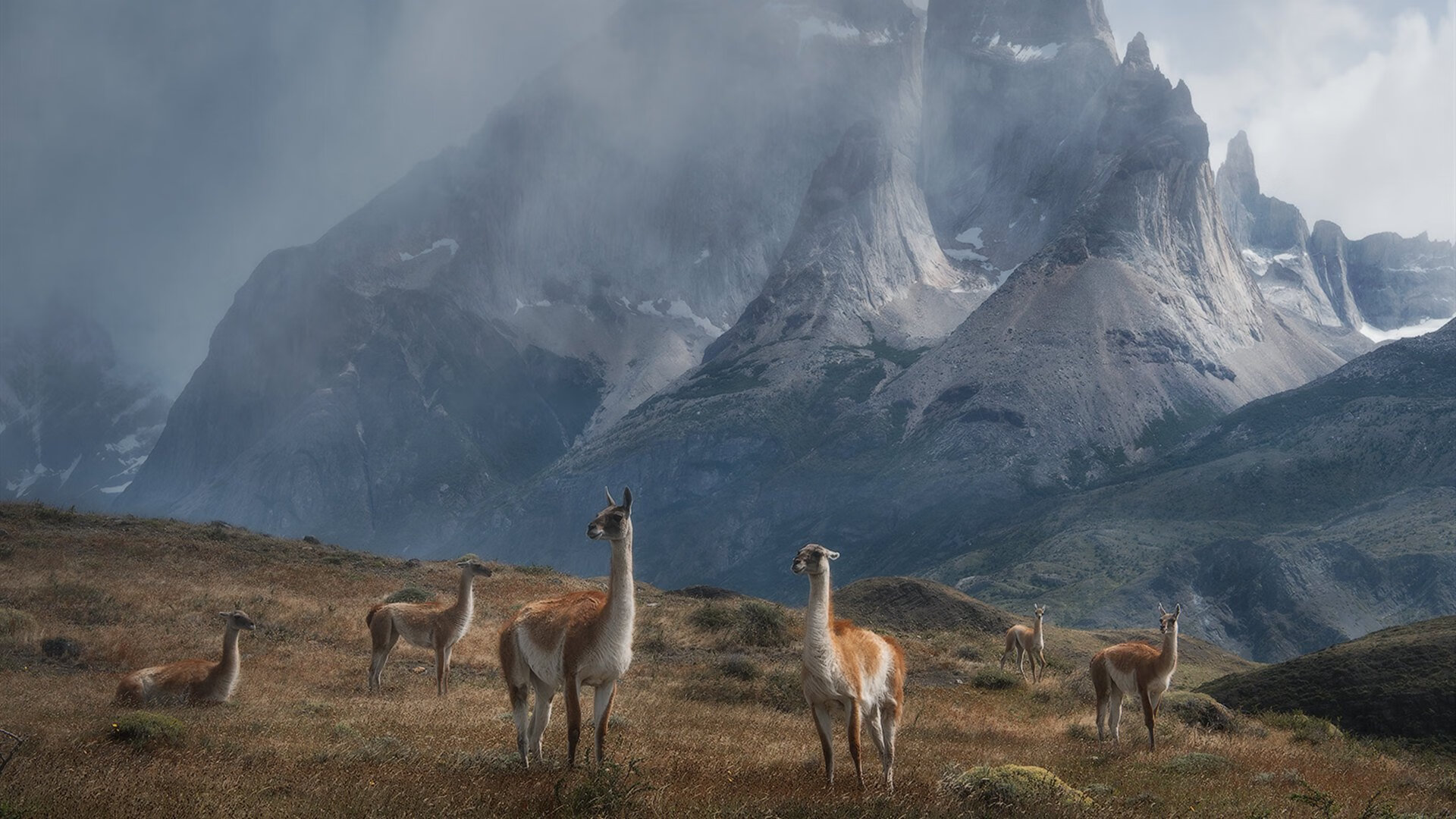 爱游戏在线登录入口-数字化战术分析工具广泛应用，助力青少年球员技术突破，数字化战士