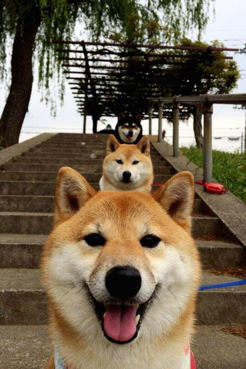 欧洲杯激情 mengg运动:持续不断精彩!,can you hear me 欧洲杯