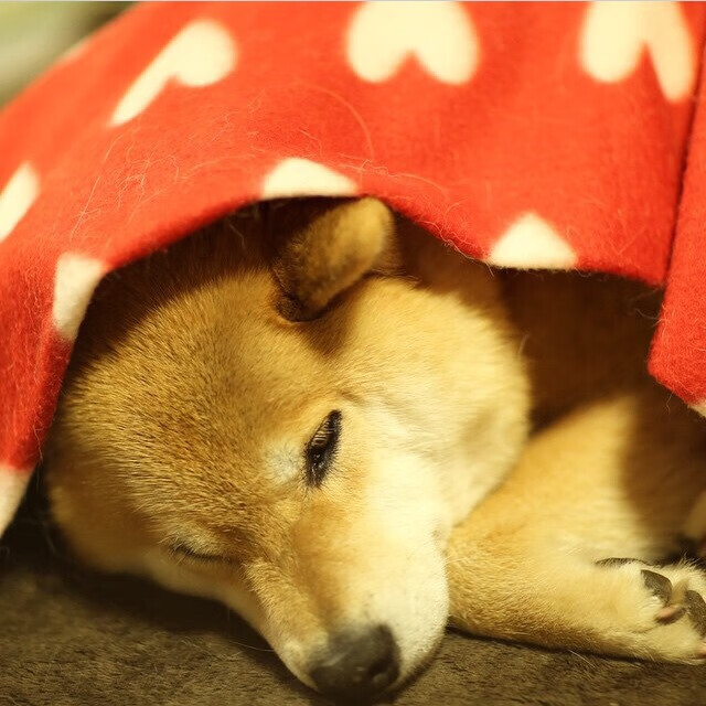 爱游戏电竞官网-科尔博决赛表现引发媒体高度关注,科尔博机械有限公司