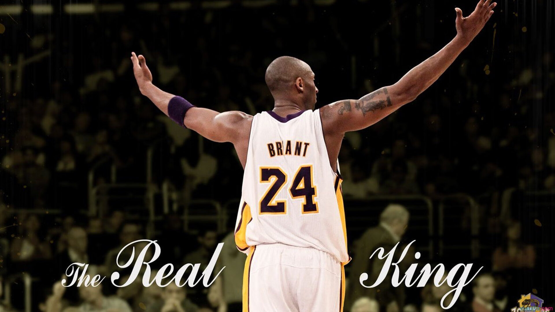 AYX体育官网-主播与职业战队合作模式日渐成熟，职业队和主播大神区别